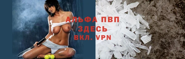 гидра Арсеньев