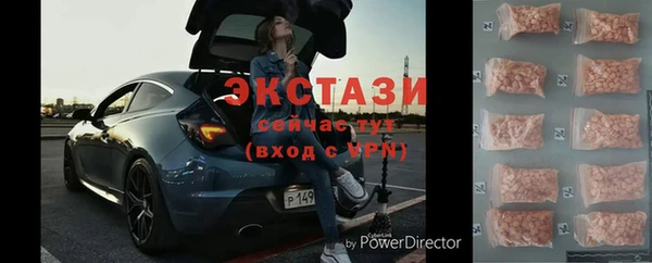 гидра Арсеньев