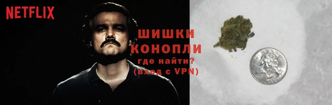 гидра Арсеньев