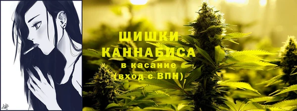 гидра Арсеньев