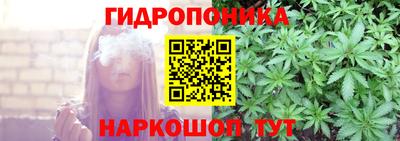 амф Лесосибирск