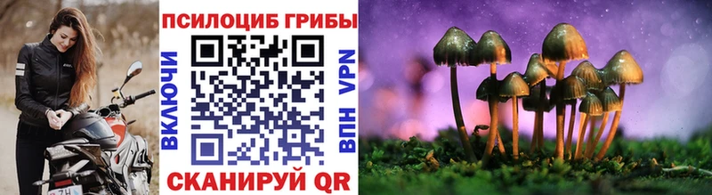 продажа наркотиков  Чистополь  Псилоцибиновые грибы MAGIC MUSHROOMS 