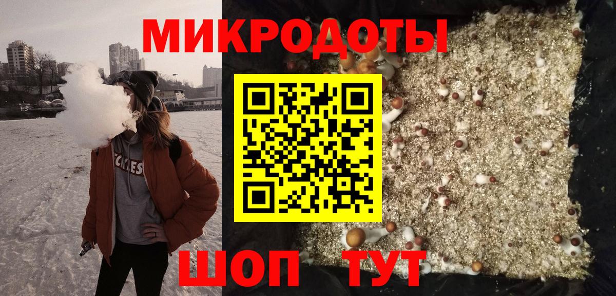 где купить наркотик  Вход с VPN  Псилоцибиновые грибы мухоморы  Чистополь  Галлюциногенные грибы Psilocybine cubensis 