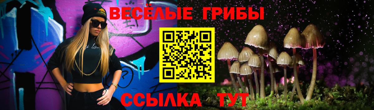 Галлюциногенные грибы прущие грибы Чистополь