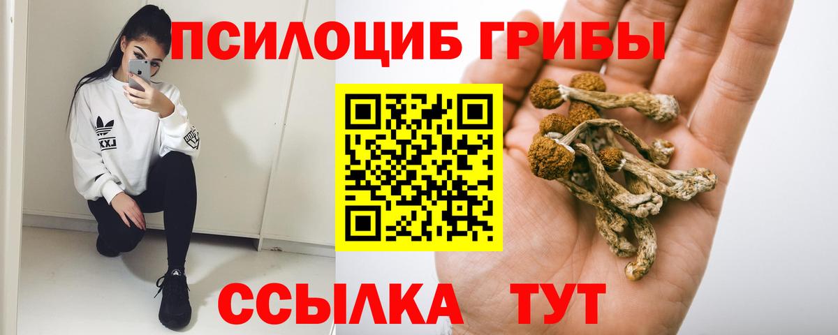 Альфа ПВП Чистополь